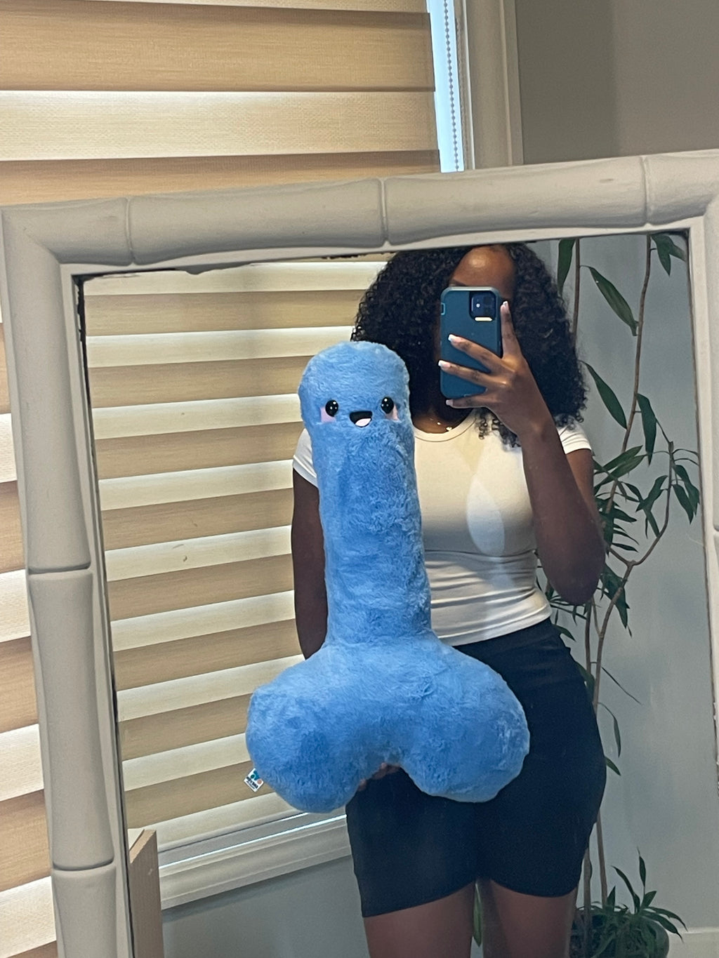 Blue Happy P Plushie